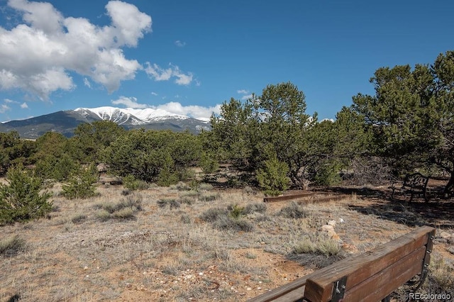 31252 County Road 384a, Buena Vista, CO 81211 - mountain view