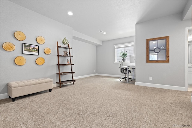 1315 Sidewinder Cir, Castle Rock, CO 80108 - office with light colored carpet, baseboards, and recessed lighting