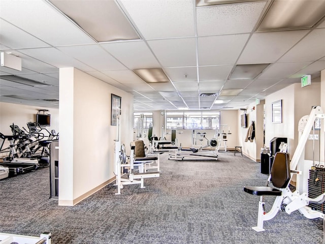 workout area featuring a paneled ceiling and carpet flooring