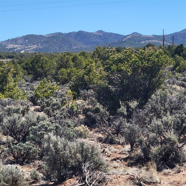 3702 Rockwell Rd, Fort Garland, CO 81133 - photo 6