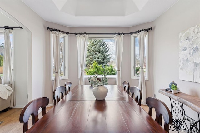 dining room with a tray ceiling and light wood-style flooring