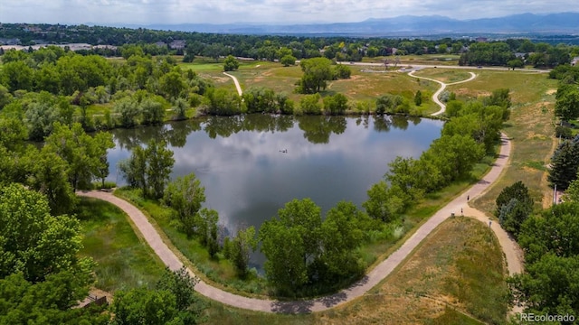 11016 Clay Dr, Westminster, CO 80234 - photo 4