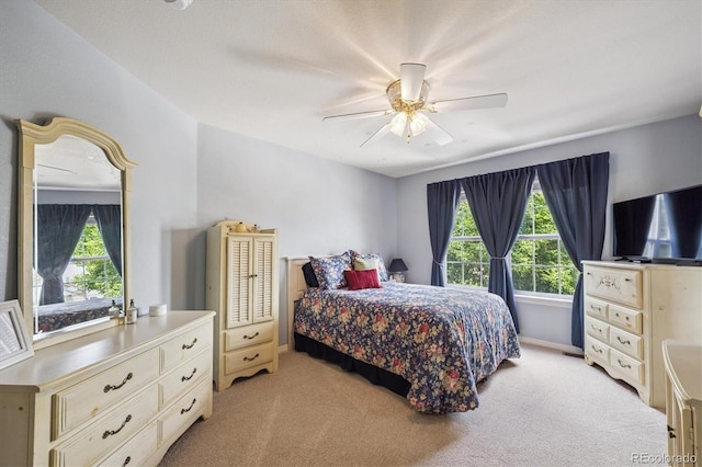 11016 Clay Dr, Westminster, CO 80234 - photo 19