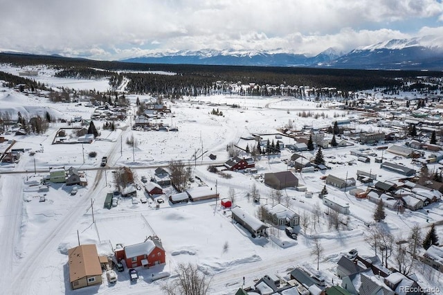 315 E 4th St, Leadville, CO 80461 - photo 5