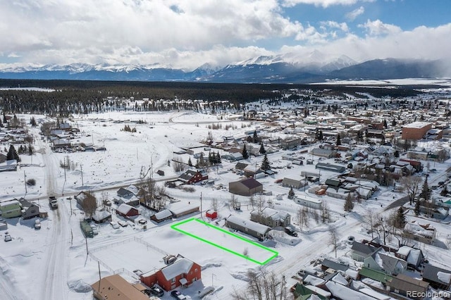315 E 4th St, Leadville, CO 80461 - photo 7