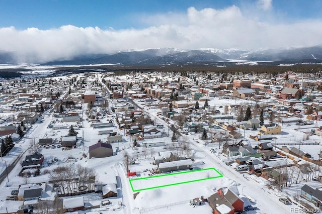 315 E 4th St, Leadville, CO 80461 - photo 8