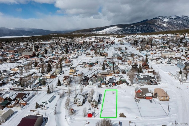 315 E 4th St, Leadville, CO 80461 - photo 9