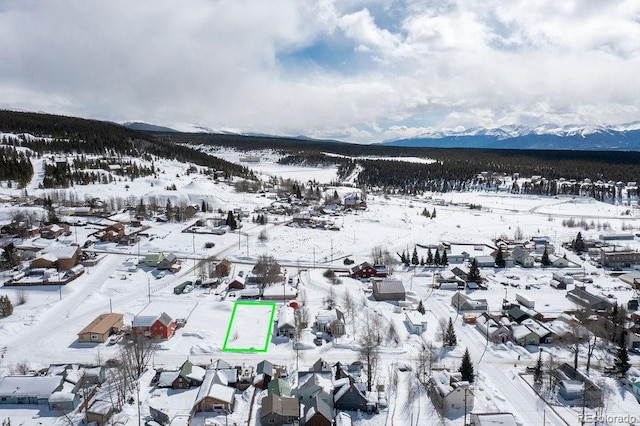 315 E 4th St, Leadville, CO 80461 - photo 10