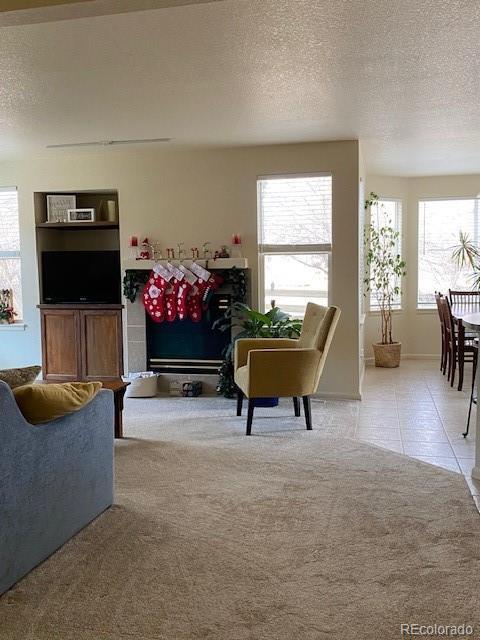 living room featuring a textured ceiling and light colored carpet