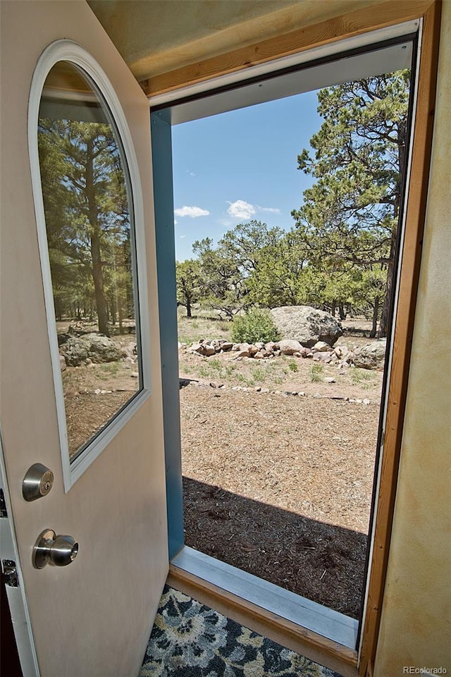 entryway featuring a healthy amount of sunlight