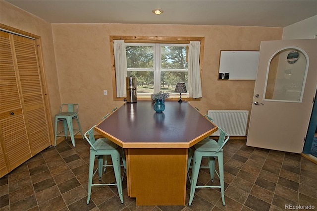 dining space with radiator heating unit