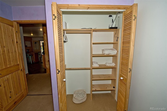 view of closet