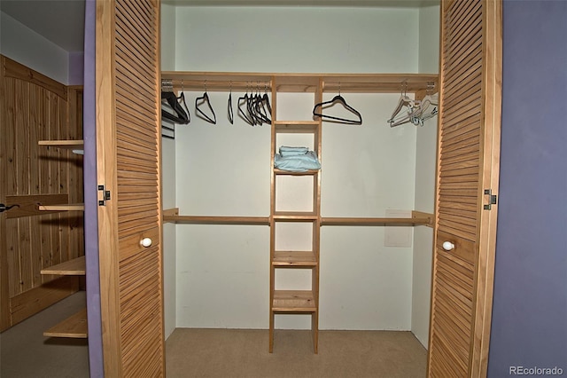 view of closet