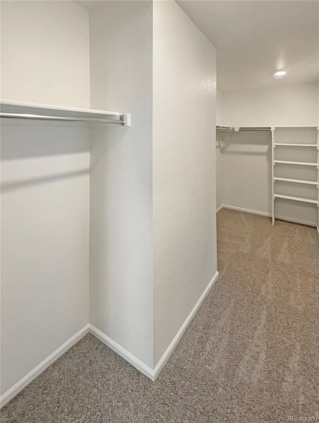 spacious closet featuring carpet flooring