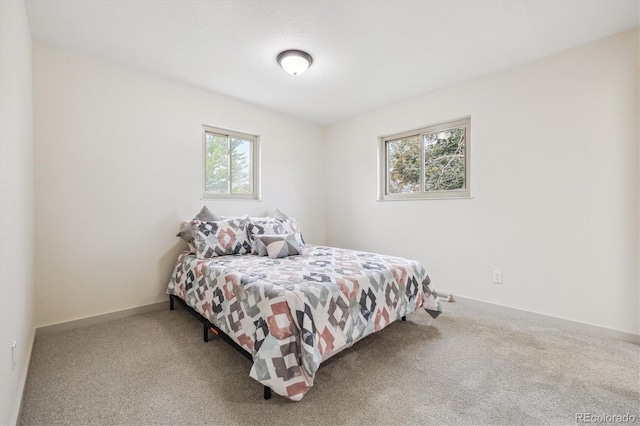 7952 Zuni St, Denver, CO 80221 - bedroom featuring multiple windows, carpet flooring, and baseboards