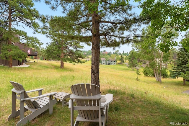 24056 Currant Dr, Golden, CO 80401 - photo 3