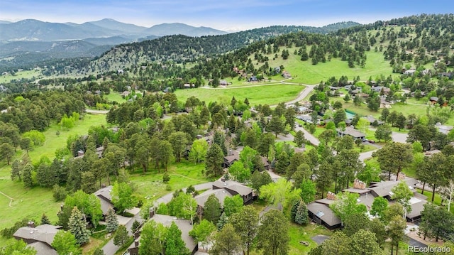 24056 Currant Dr, Golden, CO 80401 - photo 19