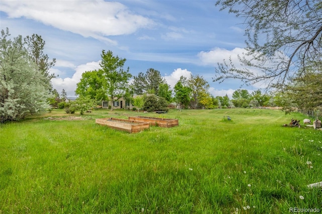 view of yard with a rural view