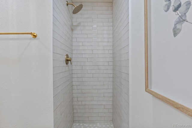 41 Eagle Dr, Littleton, CO 80123 - bathroom with a stall shower