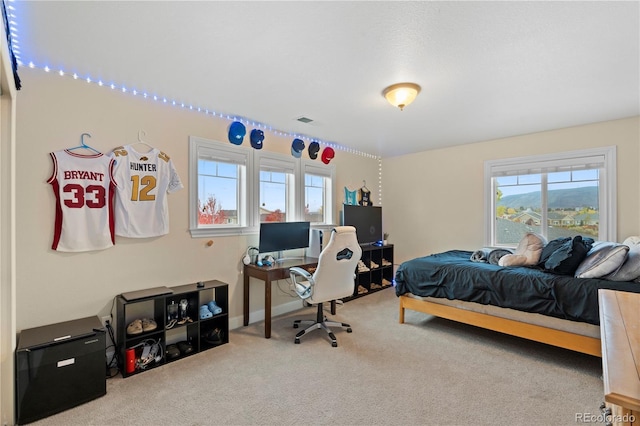 15003 W 63rd Ave, Arvada, CO 80403 - carpeted bedroom with multiple windows