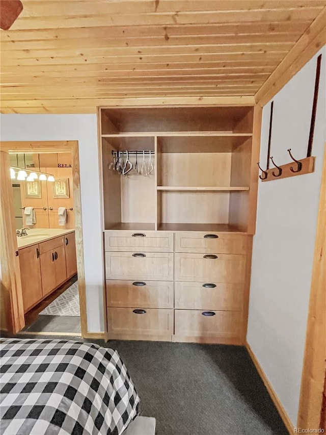 closet with sink