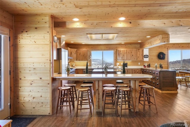 70 Sheep Creek Trl, Fairplay, CO 80440 - kitchen featuring wood ceiling, a mountain view, dark wood-style floors, a peninsula, and healthy amount of natural light