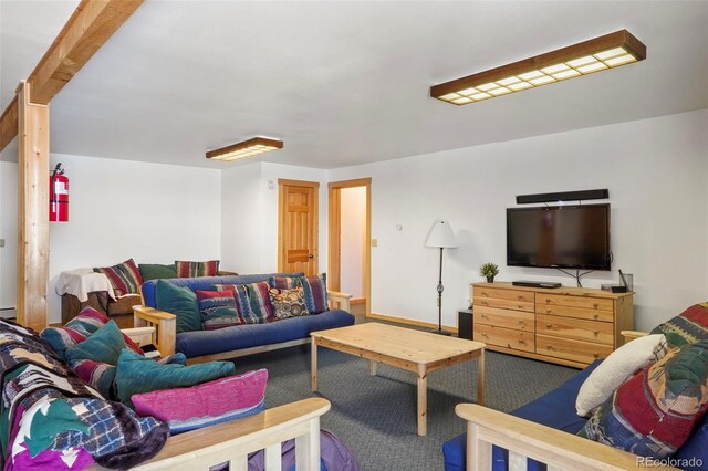 70 Sheep Creek Trl, Fairplay, CO 80440 - living room featuring carpet floors