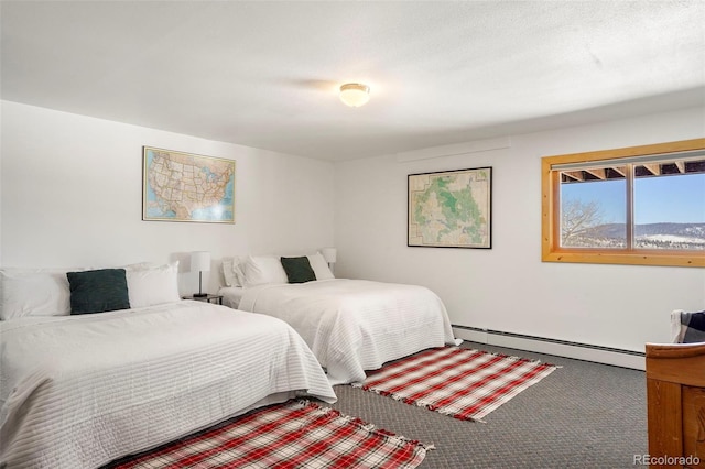 70 Sheep Creek Trl, Fairplay, CO 80440 - bedroom featuring baseboard heating and carpet