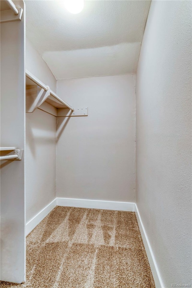 6660 Locust St, Commerce City, CO 80022 - walk in closet featuring carpet flooring
