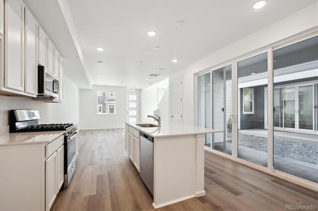 kitchen with light countertops, light wood-style floors, appliances with stainless steel finishes, and a sink