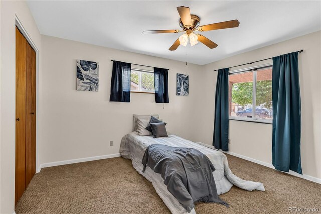 2401 Clayton Dr, Canon City, CO 81212 - photo 21