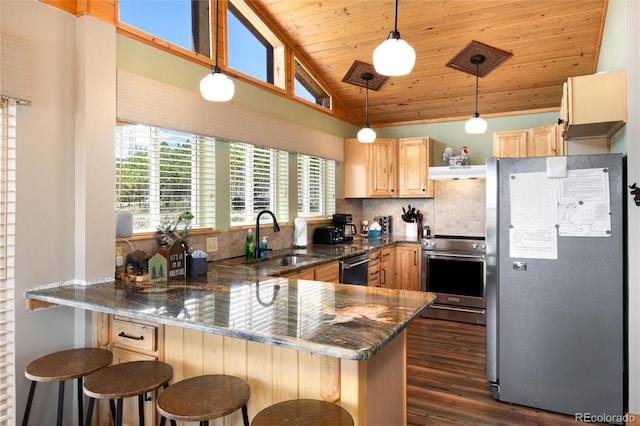1301 Sheep Ridge Rd, Fairplay, CO 80440 - kitchen with appliances with stainless steel finishes, light brown cabinets, a peninsula, dark wood-type flooring, and lofted ceiling