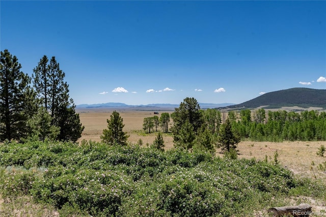 1301 Sheep Ridge Rd, Fairplay, CO 80440 - view of mountain background