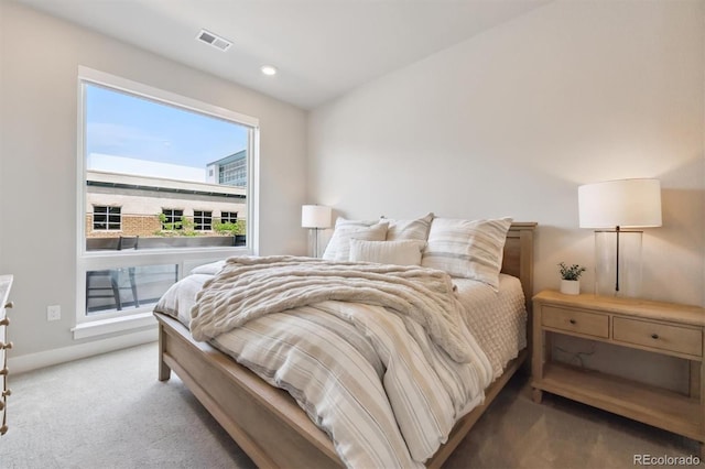 20 Wilcox St Unit 220, Castle Rock, CO 80104 - photo 14