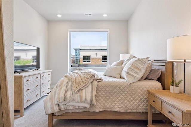 20 Wilcox St Unit 220, Castle Rock, CO 80104 - photo 18