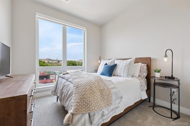 20 Wilcox St Unit 220, Castle Rock, CO 80104 - photo 20