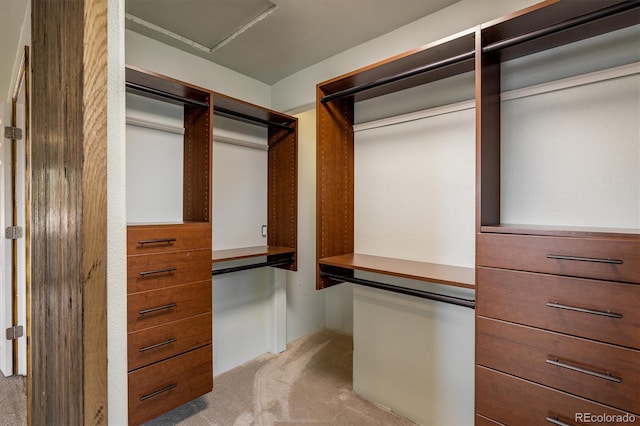 7210 Otis Ct, Arvada, CO 80003 - walk in closet with carpet