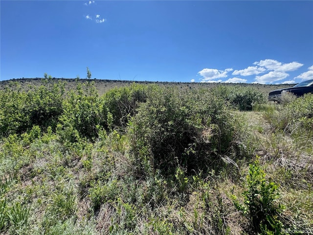 LOT5 Canyon Rd, Capulin, CO 81140 - photo 10