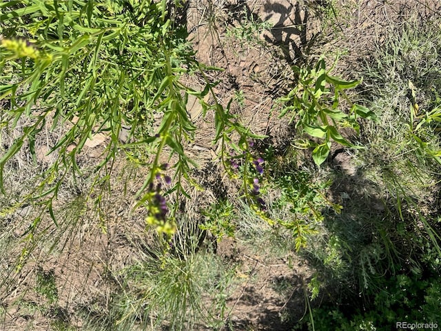 LOT5 Canyon Rd, Capulin, CO 81140 - photo 11
