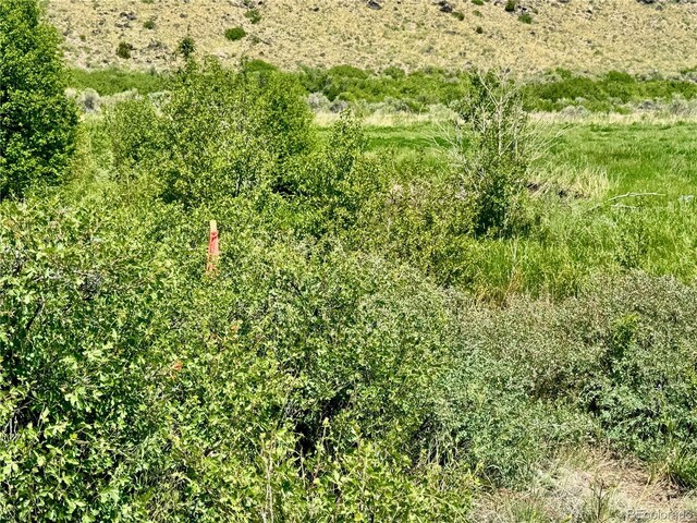 LOT5 Canyon Rd, Capulin, CO 81140 - photo 12