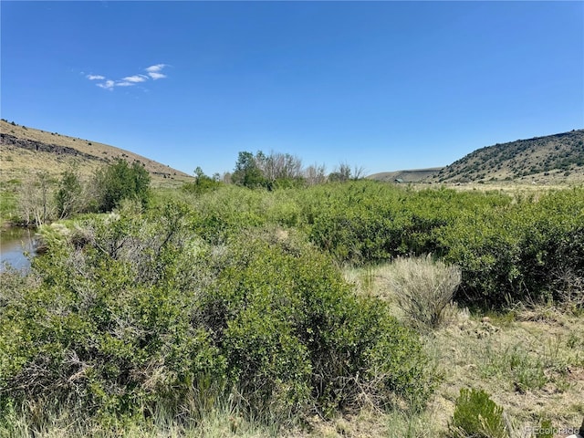 LOT5 Canyon Rd, Capulin, CO 81140 - photo 14