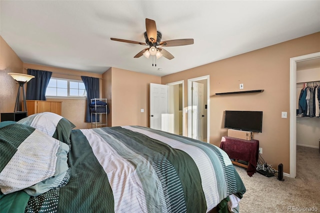 carpeted bedroom featuring ceiling fan, a closet, and a walk in closet