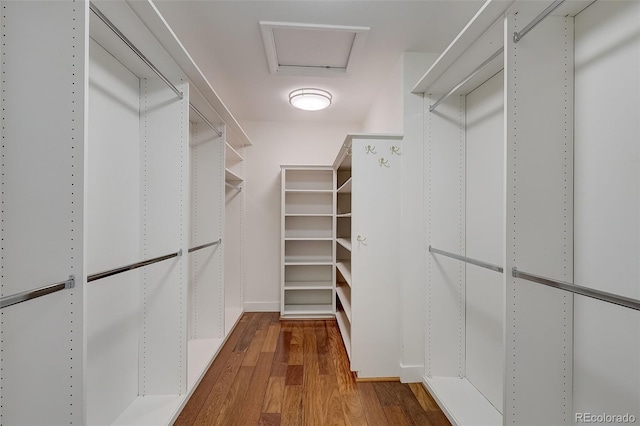3434 S Race St, Englewood, CO 80113 - walk in closet with wood finished floors