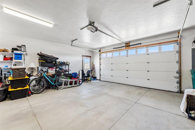 16651 Holly Ct, Buena Vista, CO 81211 - garage featuring a garage door opener