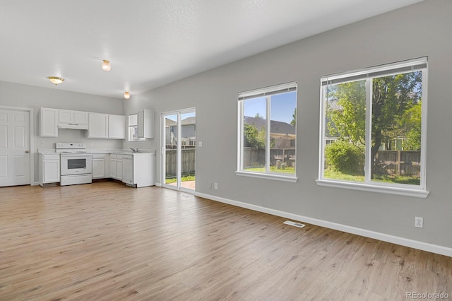 9690 Lansing Cir, Commerce City, CO 80022 - unfurnished living room featuring healthy amount of natural light, baseboards, and light wood-type flooring