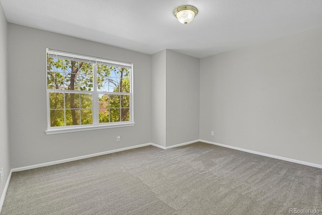 9690 Lansing Cir, Commerce City, CO 80022 - spare room featuring carpet floors and baseboards
