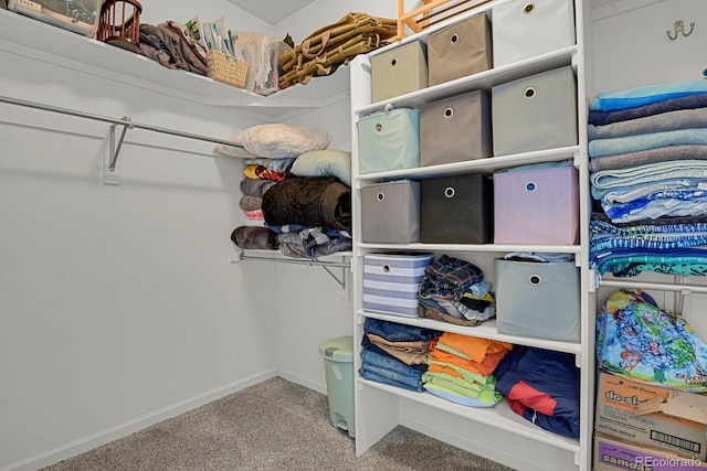 walk in closet with carpet flooring