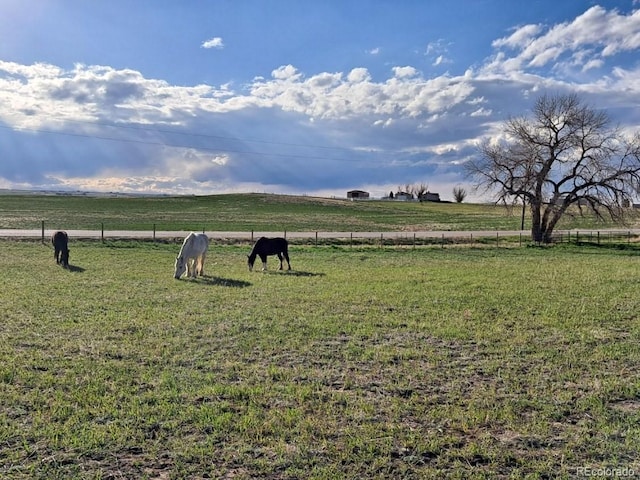 view of yard featuring a rural view