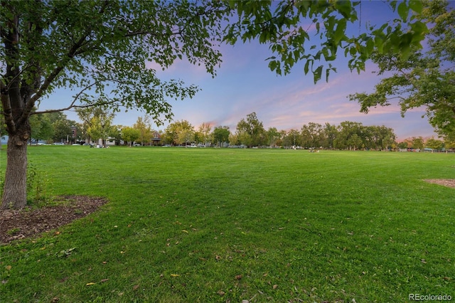 3032 Champa St, Denver CO, 80205 land for sale