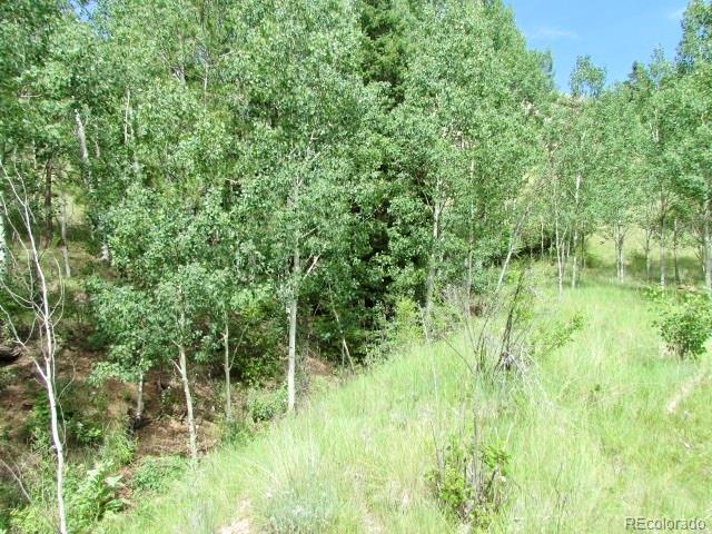 407 El Paso Ct, Cripple Creek, CO 80813 - photo 11
